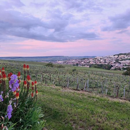 Apartament L'Echappee Bulles Épernay Zewnętrze zdjęcie