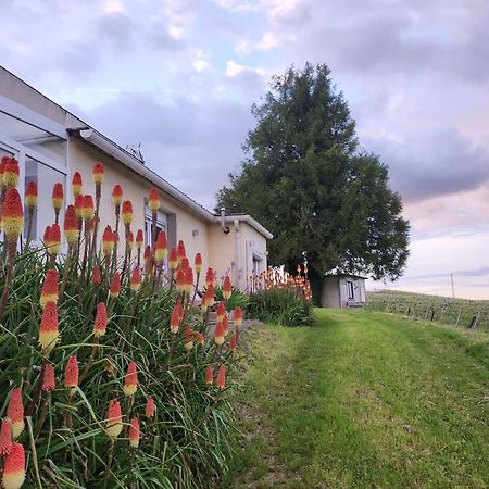 Apartament L'Echappee Bulles Épernay Zewnętrze zdjęcie