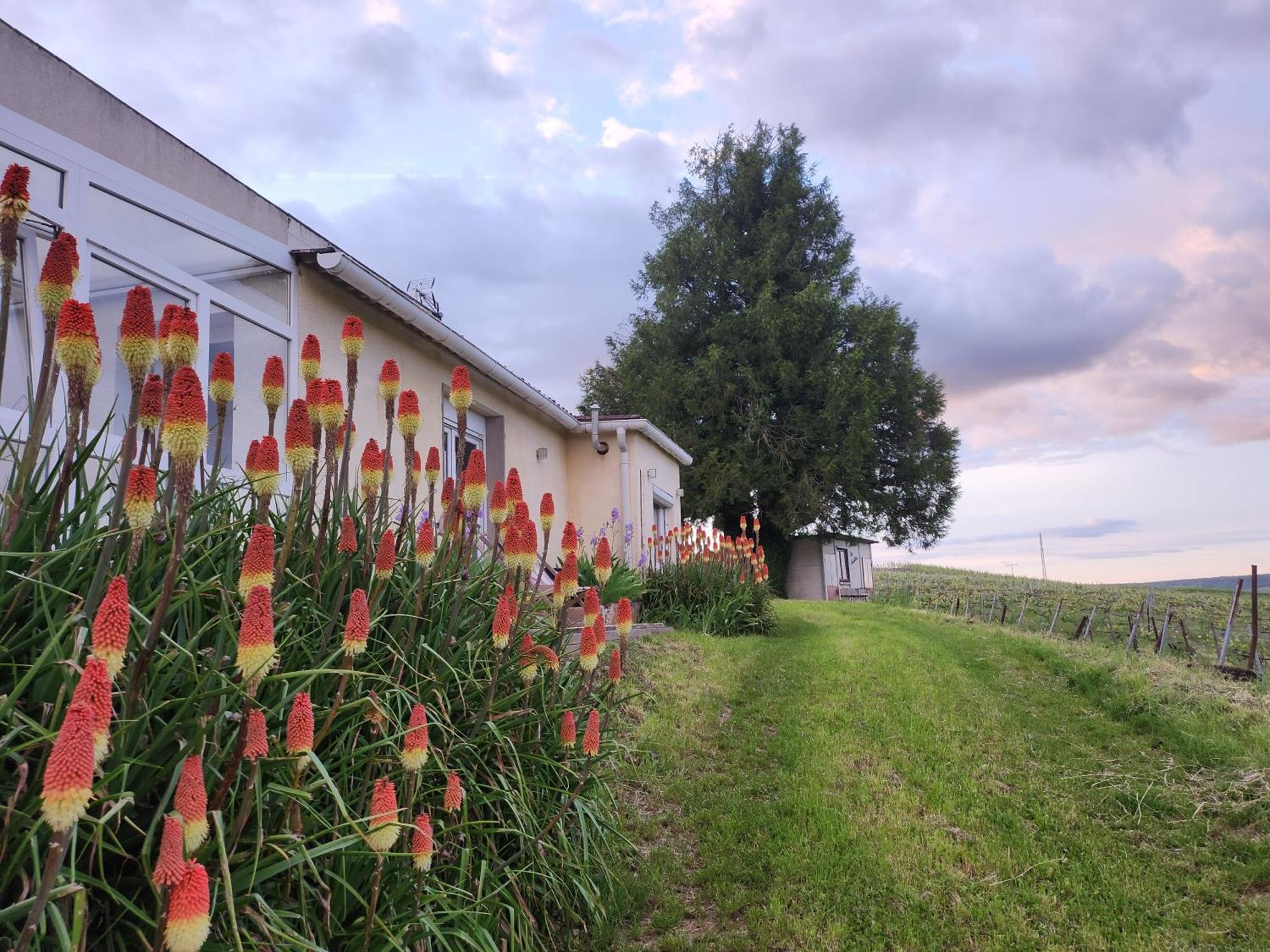 Apartament L'Echappee Bulles Épernay Zewnętrze zdjęcie